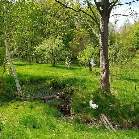 Kwatera prywatna Dom Poza Czasem Bukowiec (Lower Silesia)