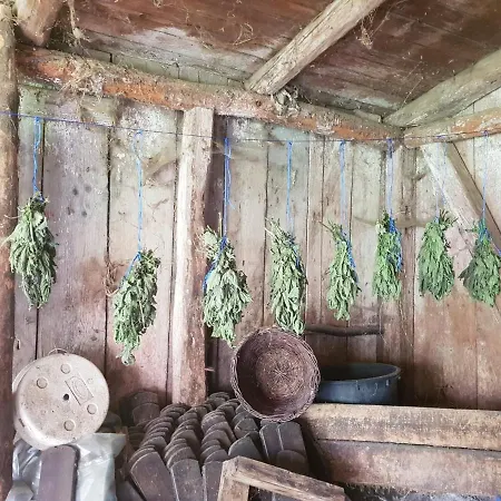 Dom Poza Czasem Kwatera prywatna Bukowiec (Lower Silesia)