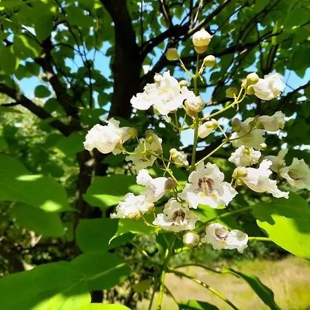 Dom Poza Czasem * Bukowiec (Lower Silesia)