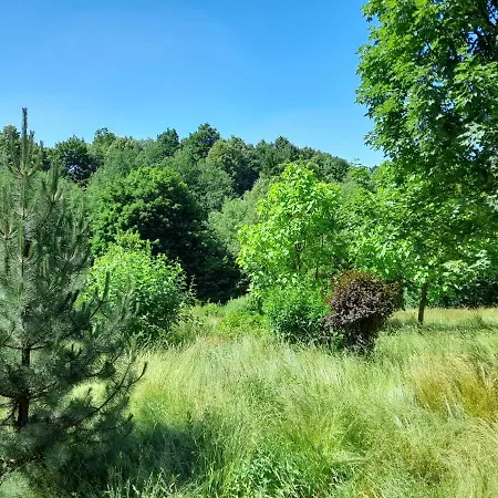 Dom Poza Czasem Bukowiec (Lower Silesia)